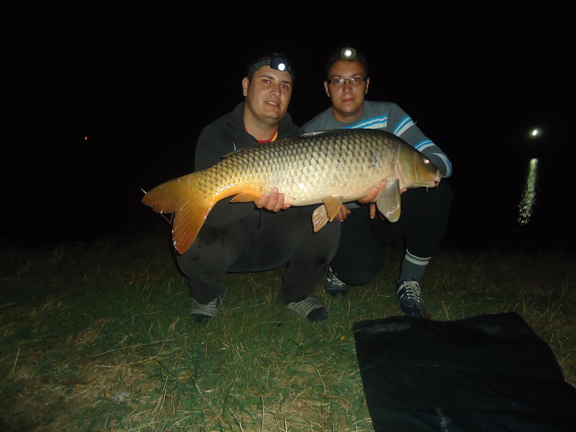 Moara vlasiei 26-27-08-2013 - dsc03882.JPG